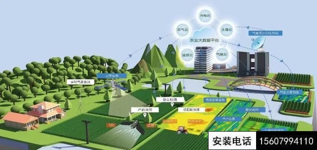 被攝像頭“監(jiān)控”的番茄一生（數(shù)字農(nóng)業(yè)在線直播）(圖1)