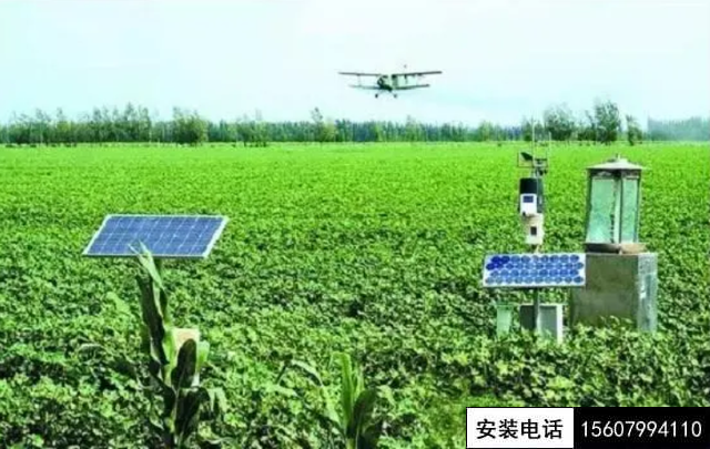被攝像頭“監(jiān)控”的番茄一生（數(shù)字農(nóng)業(yè)在線直播）(圖3)